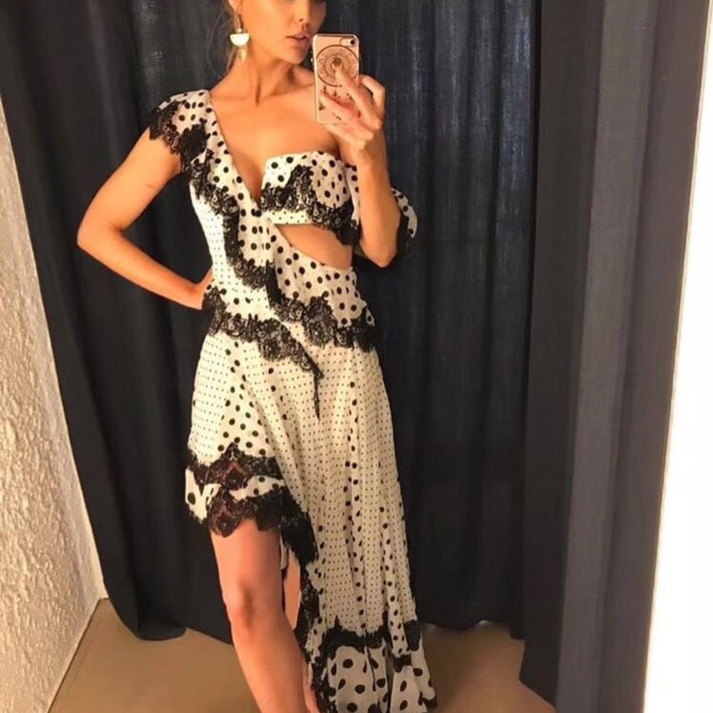 Zimmermann Rife Dally Lace Polka Dot Max Dress - Picture 8 of 9